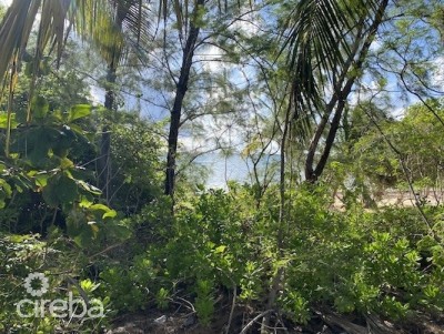 GUN BAY, EAST END - 3 LAND PARCELS - 1 BEACHFRONT