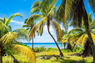 LITTLE CAYMAN, BEACH FRONT PARCEL 74