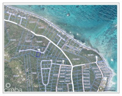 LITTLE CAYMAN PLOT