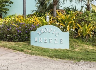 TROPIC BREEZE #8